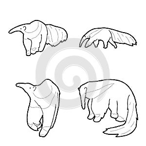 Anteater Animal Vector Illustration Hand Drawn Cartoon Art