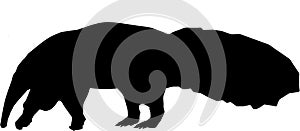 Anteater Vermilingua Silhouette