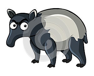 Anteater on white background