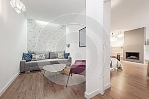 Antechamber of an apartment with a three-seater sofa, red armchair photo