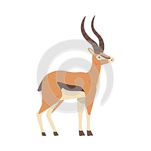 Antelope African Animal, Side View of Wild Herbivore Jungle Animal Cartoon Vector Illustration