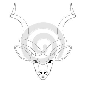 Antelope face, vector illustration,lining draw,front