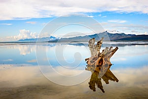 Antelope Island State Park