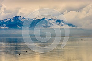 Antelope Island State Park