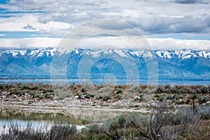 Antelope Island State Park, near Salt Lake City, UTAH,