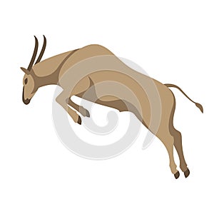 Antelope jumps vector illustration