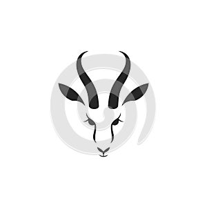 Antelope springbok. Logo photo