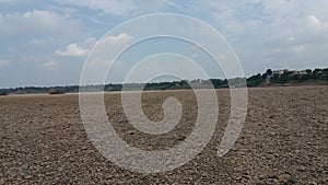 An Antelope track leads through the open savanna in india