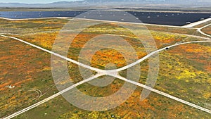 Antelope Valley Solar Power Plant California Poppy and Goldfields Super Bloom Aerial Shot in Lancaster California