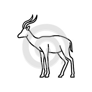 antelope. Vector illustration decorative design