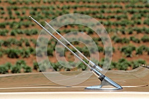 Antenna of classic car