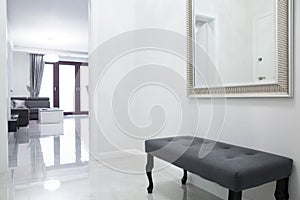 Anteroom in luxury apartment