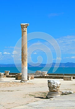 Anthique Roman columns in Carthage