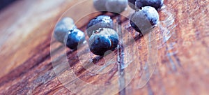 Anthocyanins in Blueberries May Have Anti-Diabetes Effects