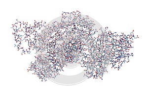 Anthrax lethal toxin molecule