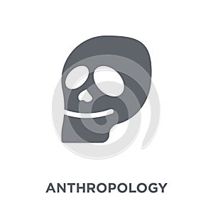 Anthropology icon from Museum collection. photo
