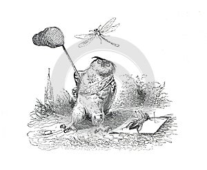 Anthropomorphic animals. humanized cyborg animals. CRISPR. cas9. Aliens. Owl catches insects. hand drawn vintage illustration.