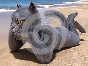 Anthropomorphic cat lying on a beach