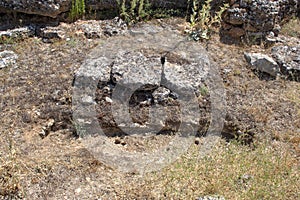 Anthropomorphic tombs excavated in rocky soil, oriented from east to west.