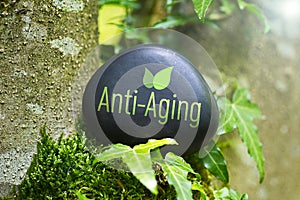 Anti-Aging