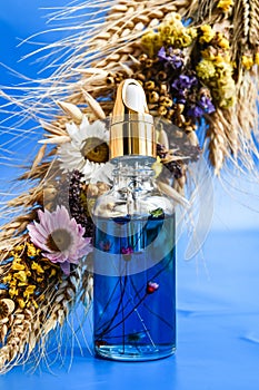Anti aging serum in glass bottle with dropper on blue background and dry flowers . Facial liquid serum with collagen and peptides