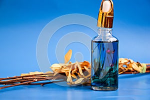 Anti aging serum in glass bottle with dropper on blue background and dry flowers . Facial liquid serum with collagen and peptides