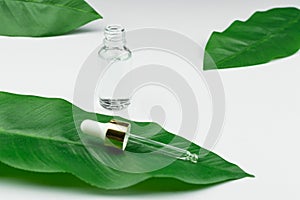 Anti aging serum in glass bottle with dropper on green leaf and white background. Facial liquid serum with collagen and peptides.
