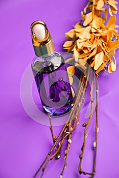 Anti aging serum in glass bottle with dropper on purple background and dry flowers . Facial liquid serum with collagen and