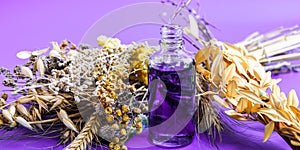 Anti aging serum in glass bottle with dropper on purple background and dry flowers . Facial liquid serum with collagen and