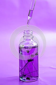 Anti aging serum in glass bottle with dropper on purple background. Facial liquid serum with collagen and peptides