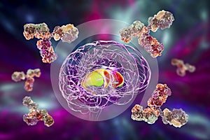 Anti-basal ganglia antibodies. 3D conceptual illustration