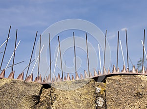 Anti-climb spikes deter people from entering a property photo