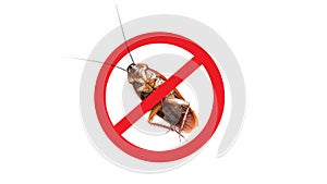 Anti cockroach, pest control. Stop insects sign.cockroach with caution sign pest control in red forbidding