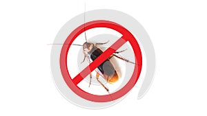 Anti cockroach, pest control. Stop insects sign.cockroach with caution sign pest control in red forbidding