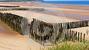 Anti-erosion wooden piles to retain sand on Wissant beach on the edge of the English Channel on the Opal Coast in France