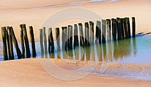 Anti-erosion wooden piles to retain sand on Wissant beach on the edge of the English Channel on the Opal Coast in France