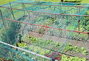 anti-hail net to protect the garden even from birds that eat vegetables