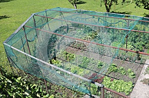 anti-hail net to protect the vegetable garden even from birds th