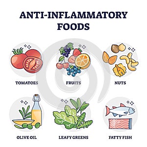 Anti inflammatory foods list for stomach digestive health outline collection photo