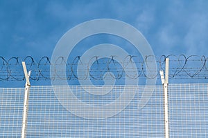 Anti intrusion barbed wire