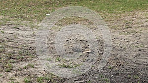 Anti-tank mines at sand installing and detonating