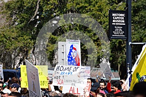 Anti-Trump Protest Tallahassee, Florida