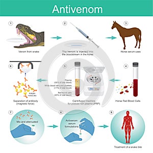 Anti venom is a medication made from antibodies from red blood h photo