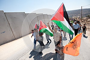 Anti-wall Demonstration, Al-Walaja