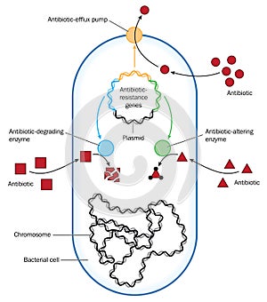 Antibiotic resistance