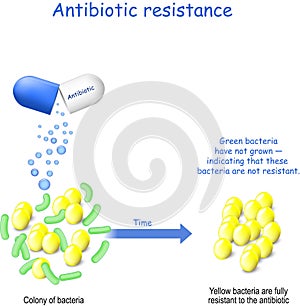 Antibiotic resistance. Colony of bacteria and capsule with antibiotic