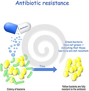 Antibiotic resistance. Colony of bacteria and capsule with antibiotic photo