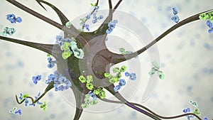 Antibodies attacking neuron photo