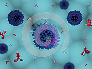 Antibodies attacking SARS coronavirus photo