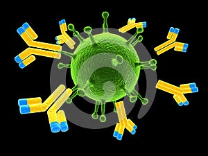 Antibodies attacking virus